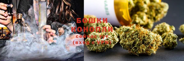PSILOCYBIN Баксан