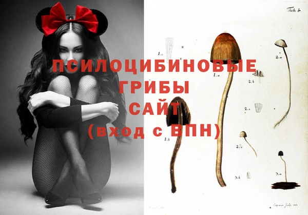 винт Балахна
